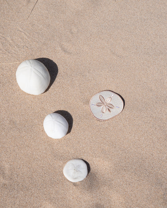 Sand dollar Patch
