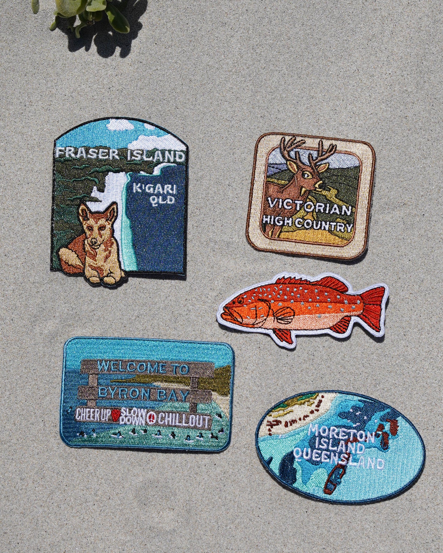 Coral Trout Patch