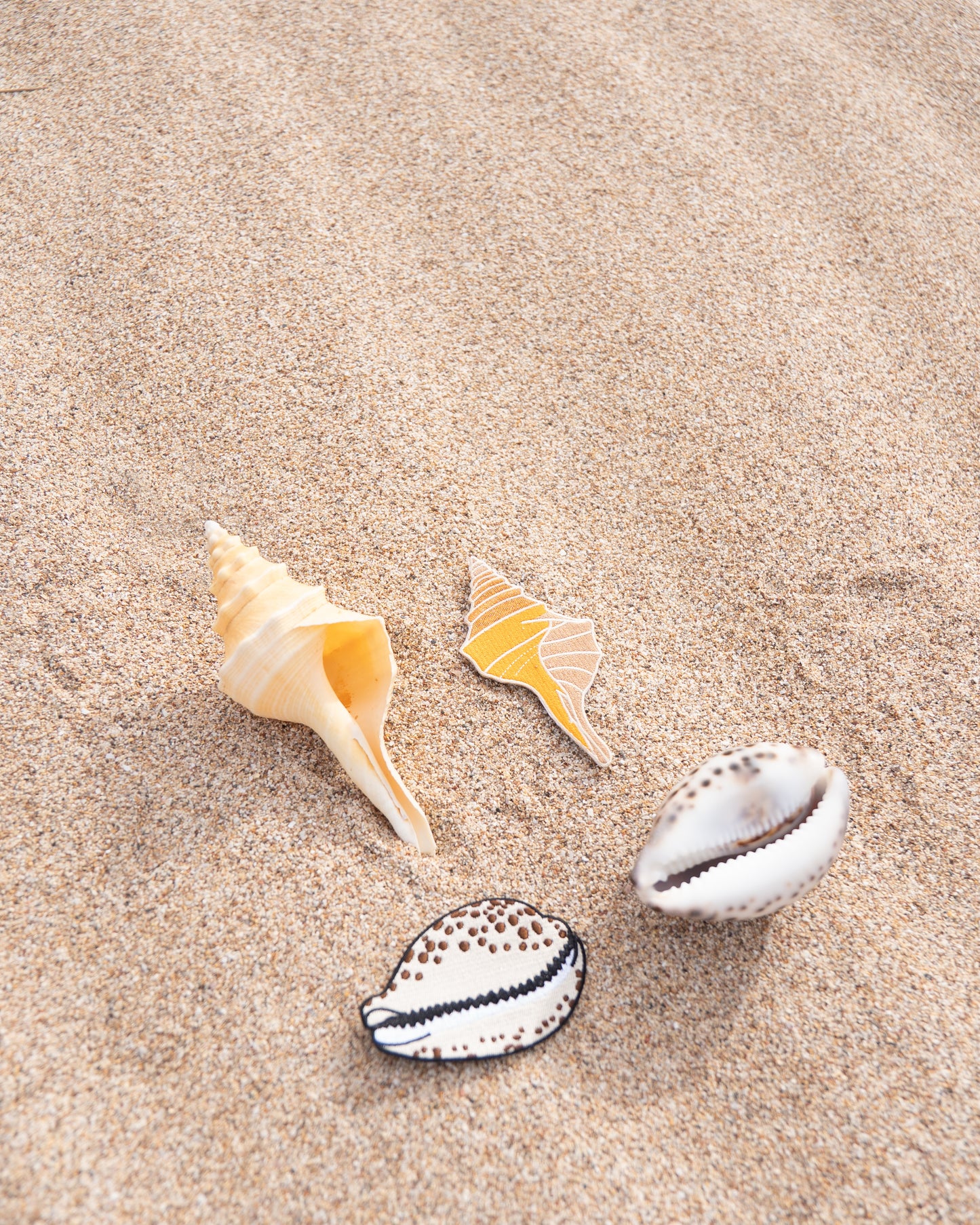 Cowrie Shell Patch