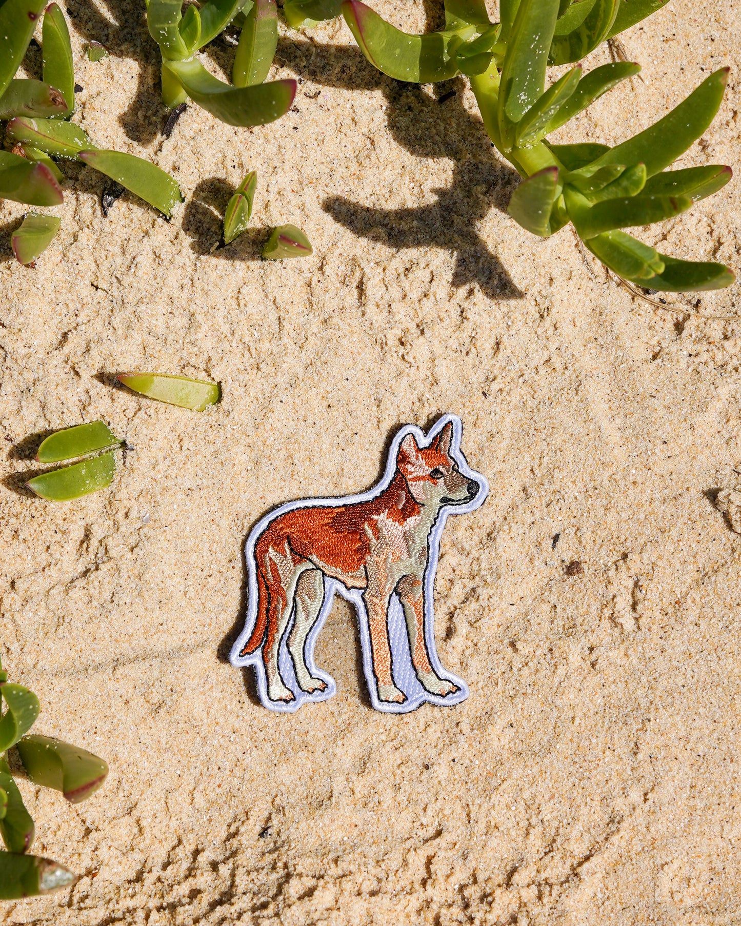 Dingo patch