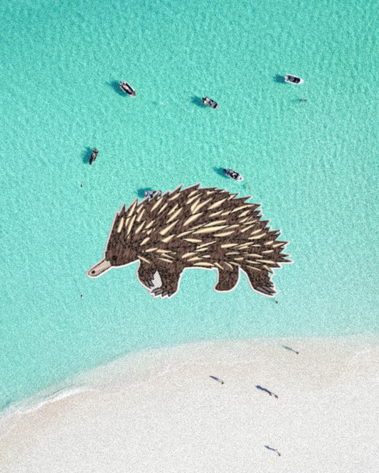 Echidna Patch