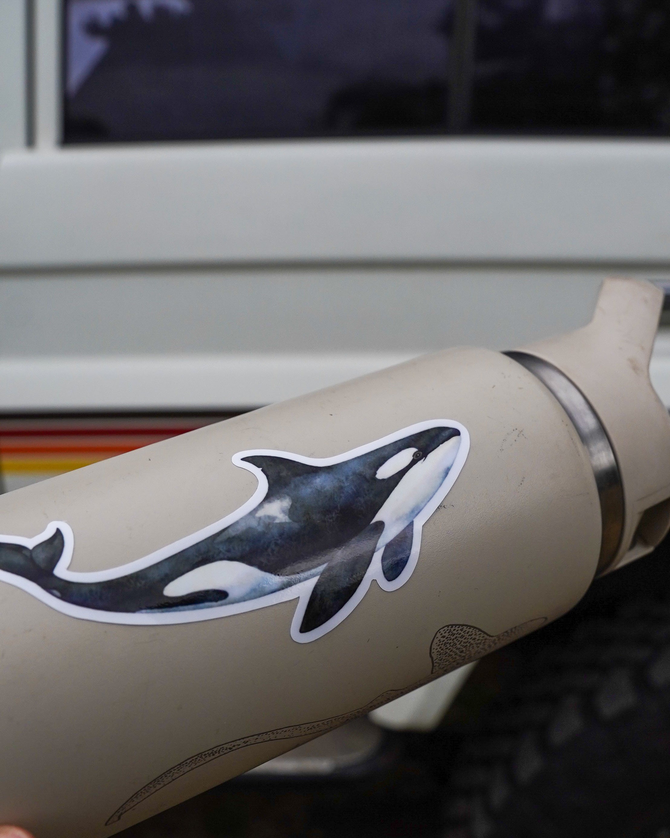 Orca sticker