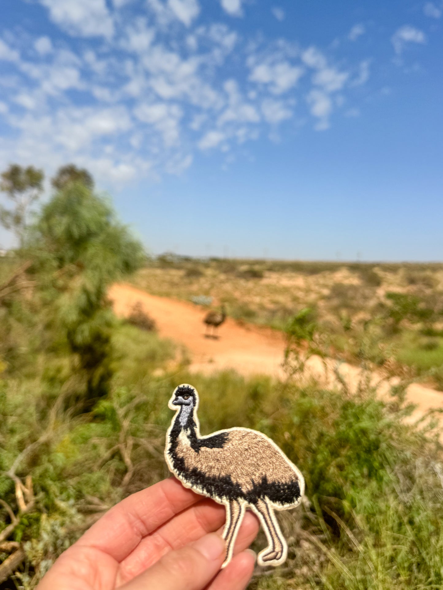 Emu Patch