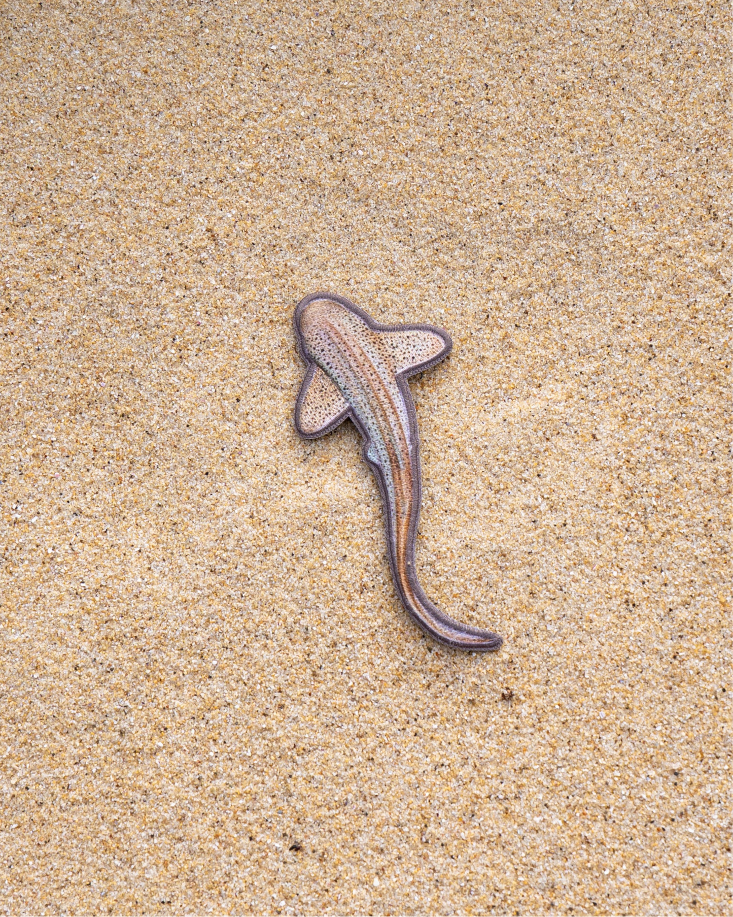 Leopard Shark Patch
