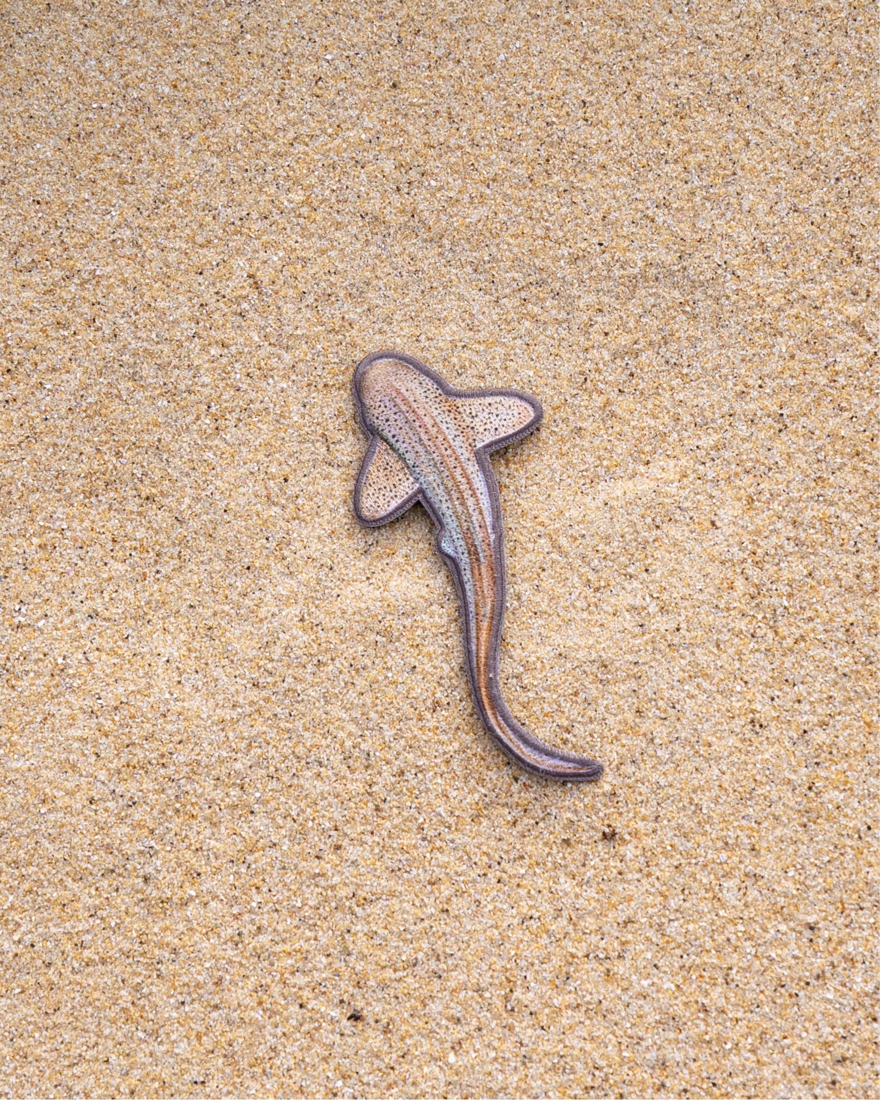Leopard Shark Patch