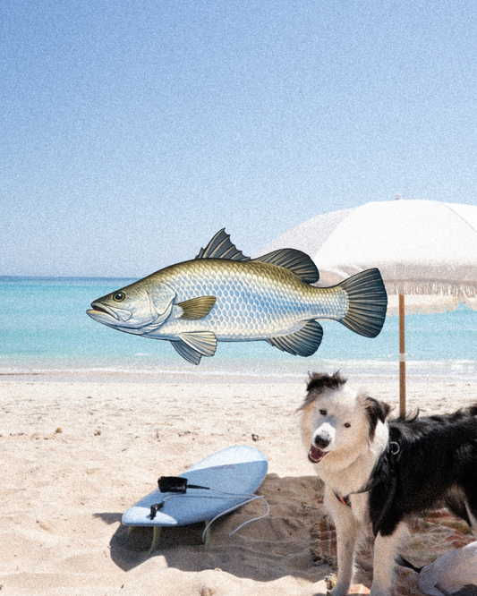 Barramundi Patch