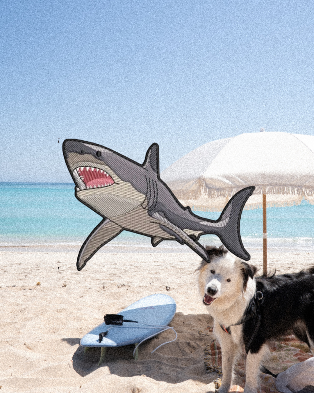 Great White Shark Patch
