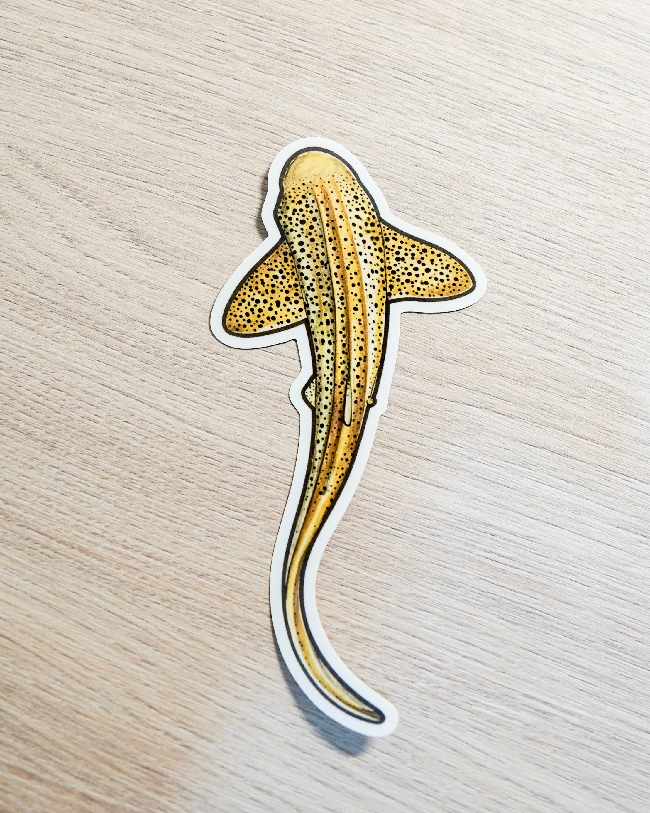Leopard Shark sticker