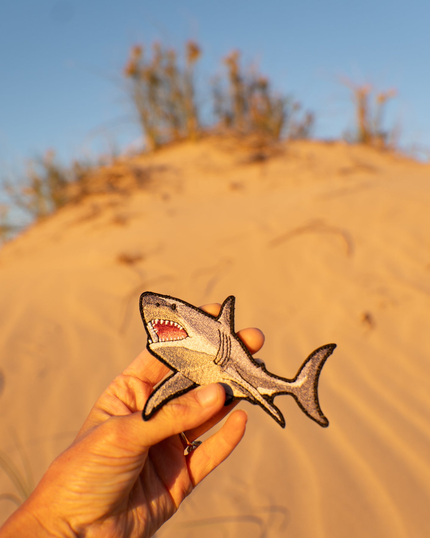 Great White Shark Patch