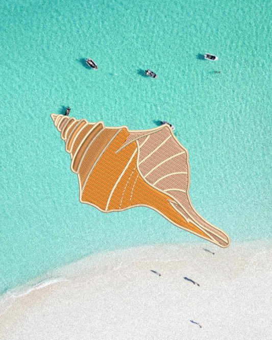 Conch shell Patch