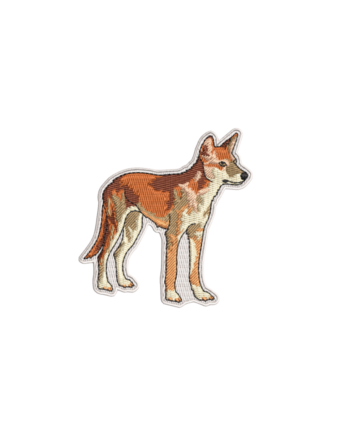 Dingo patch