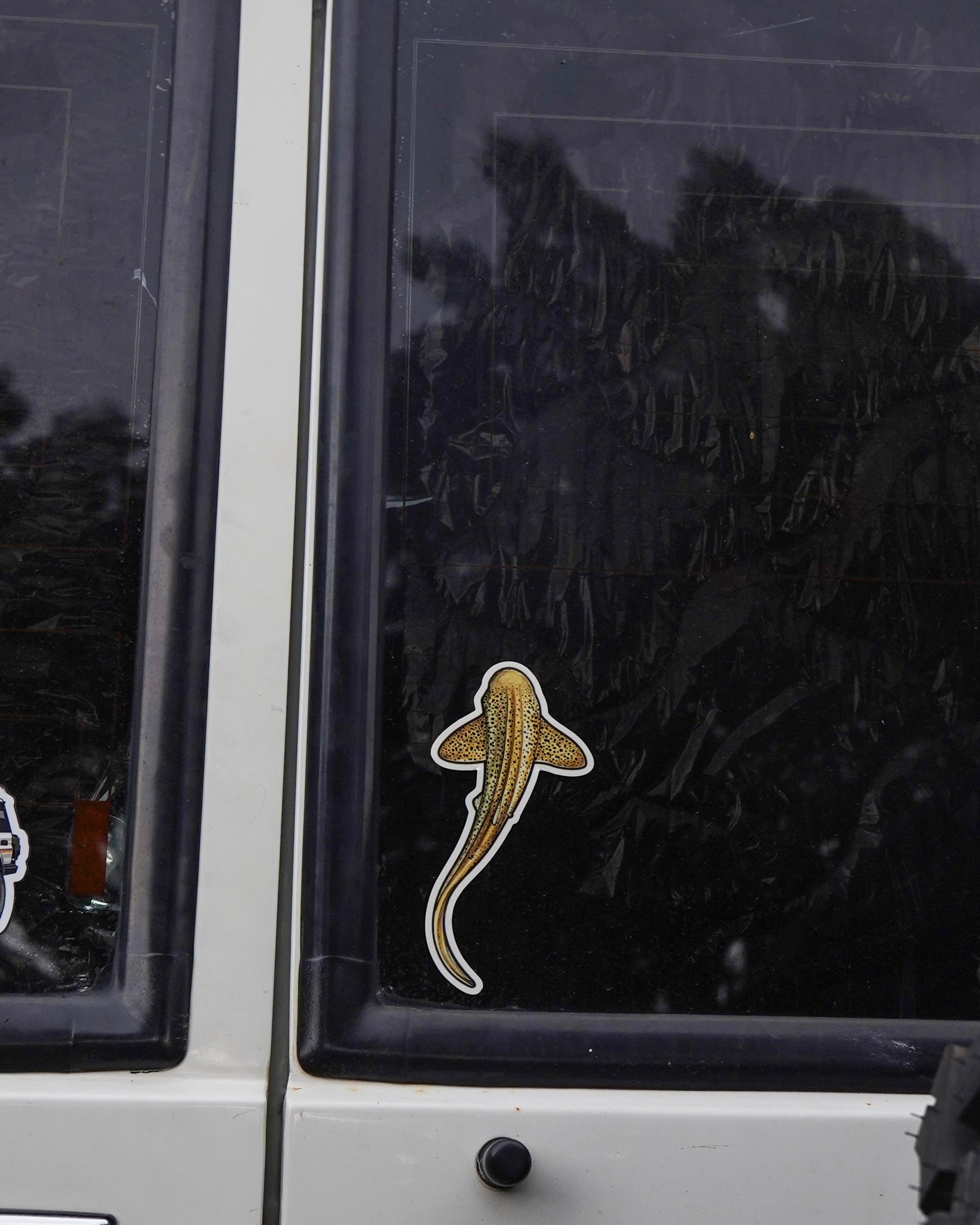 Leopard Shark sticker