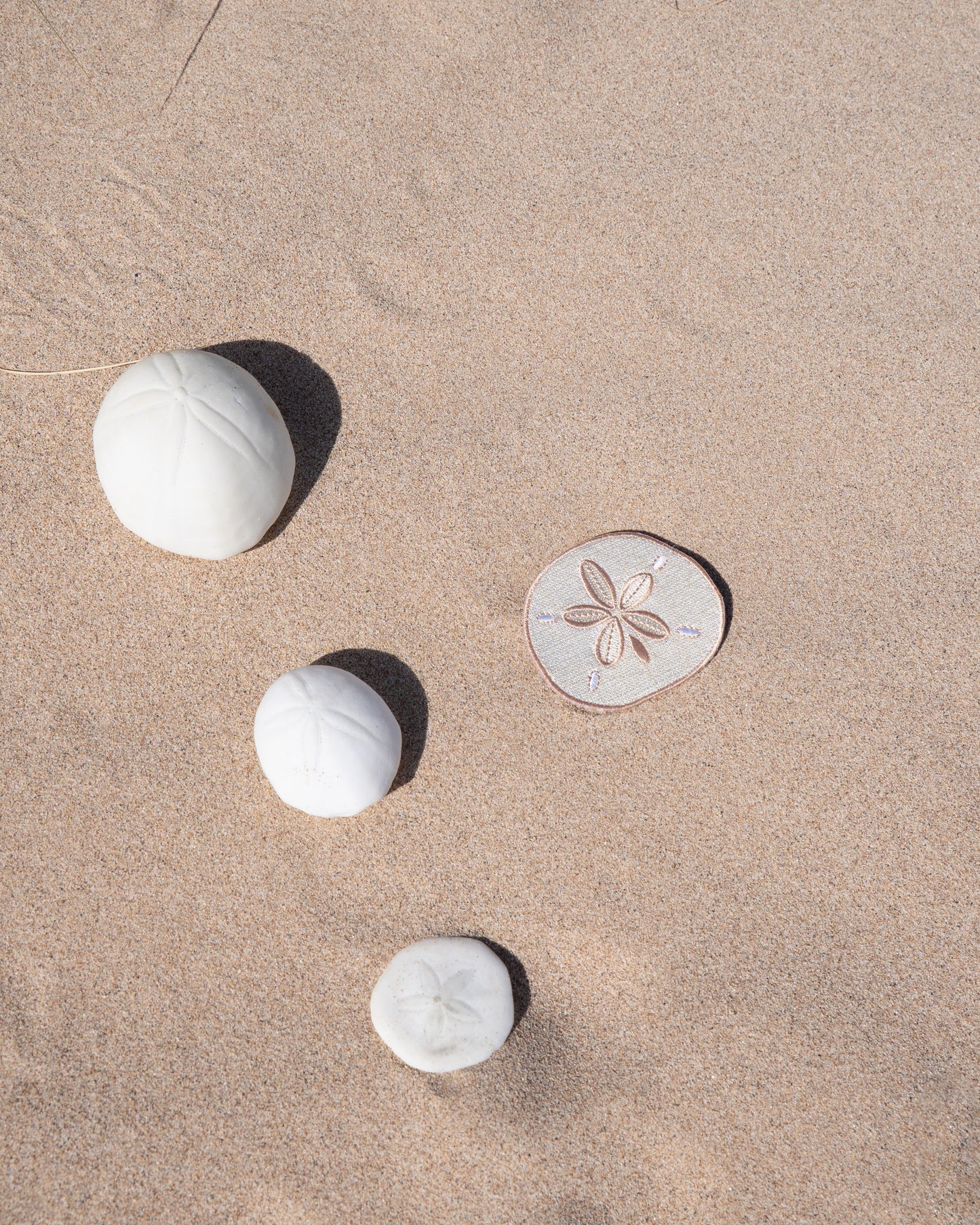 Sand dollar Patch