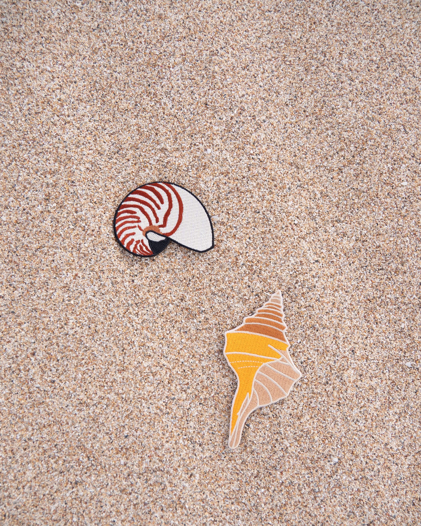 Conch shell Patch