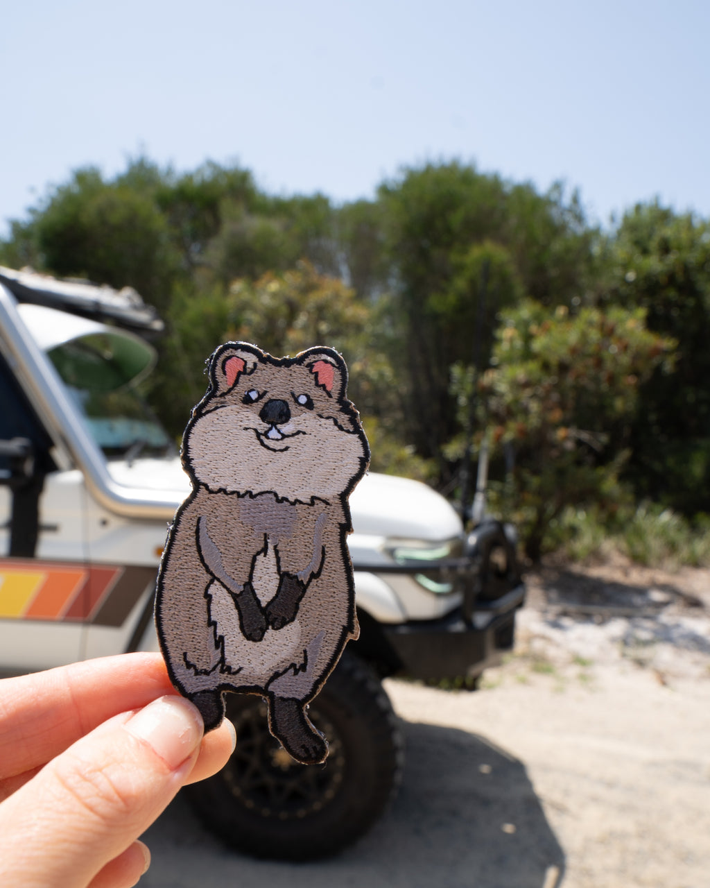 Quokka patch