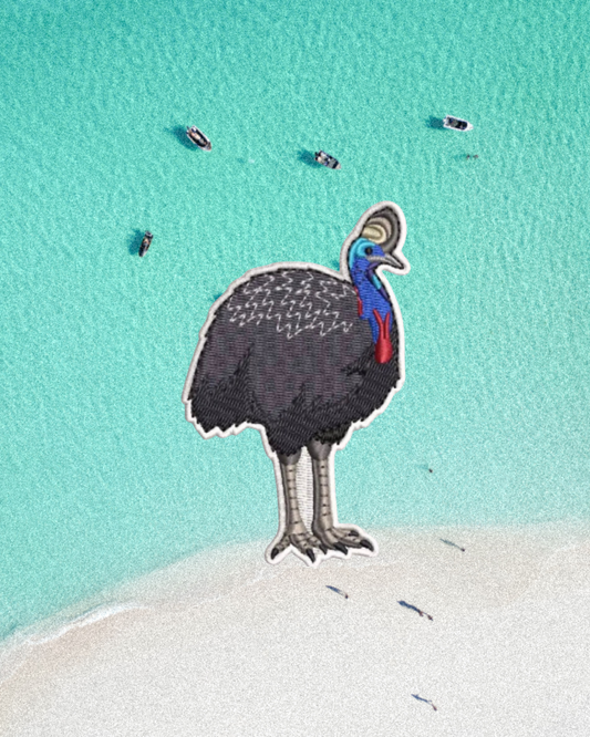 Cassowary Patch