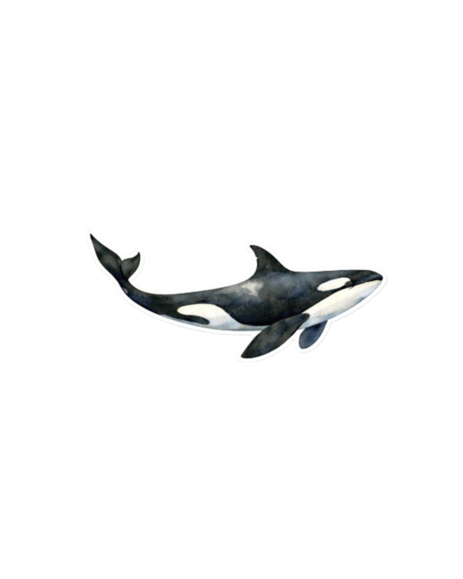 Orca sticker