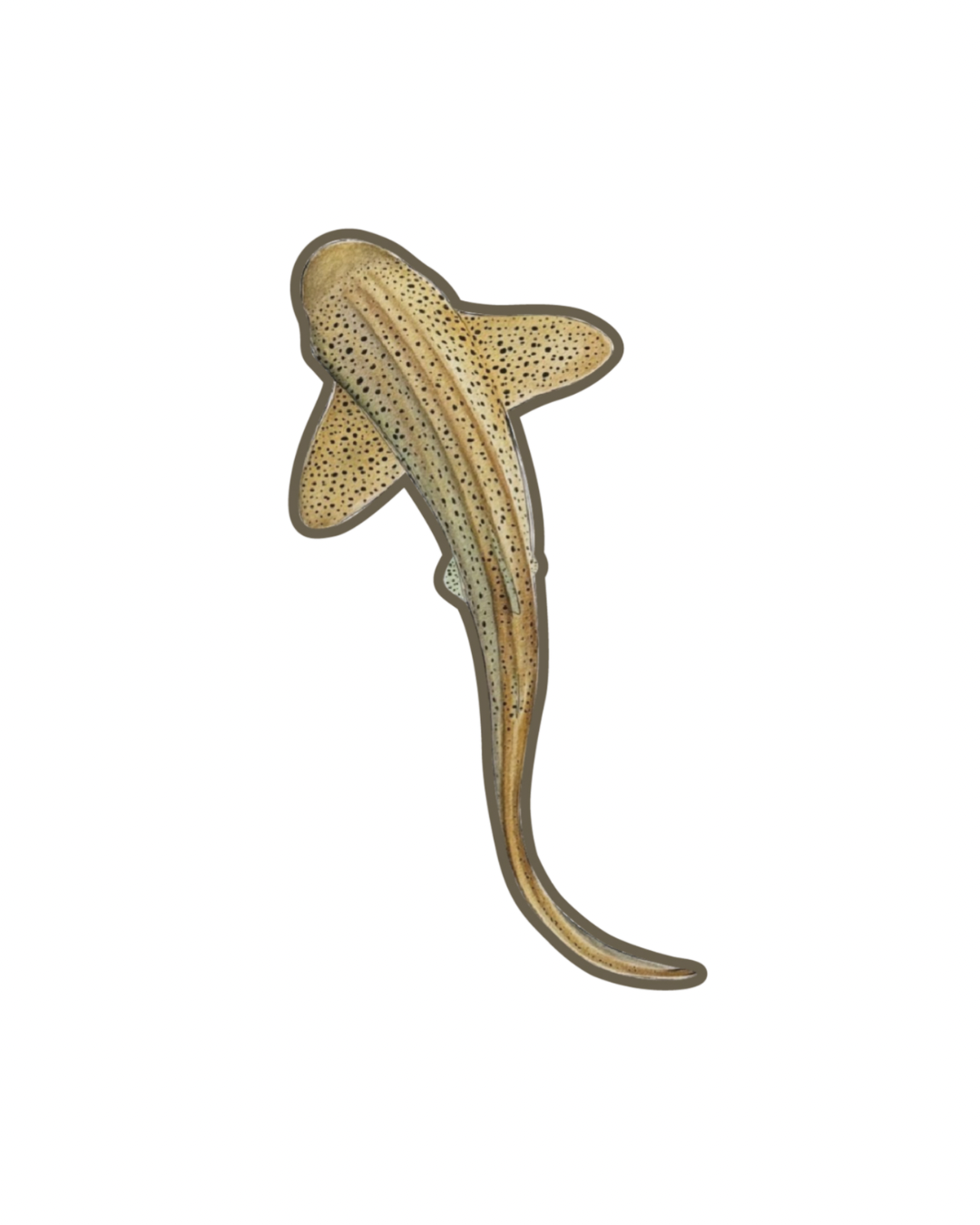 Leopard Shark Patch