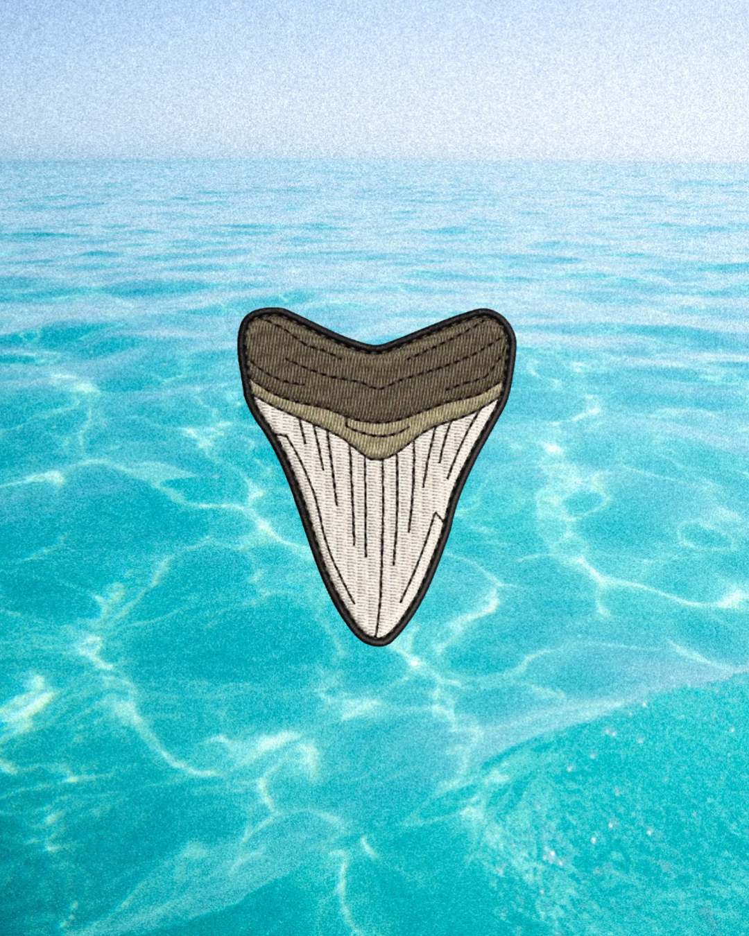 Shark tooth Patch