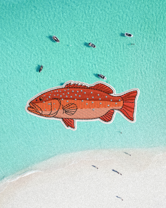 Coral Trout Patch