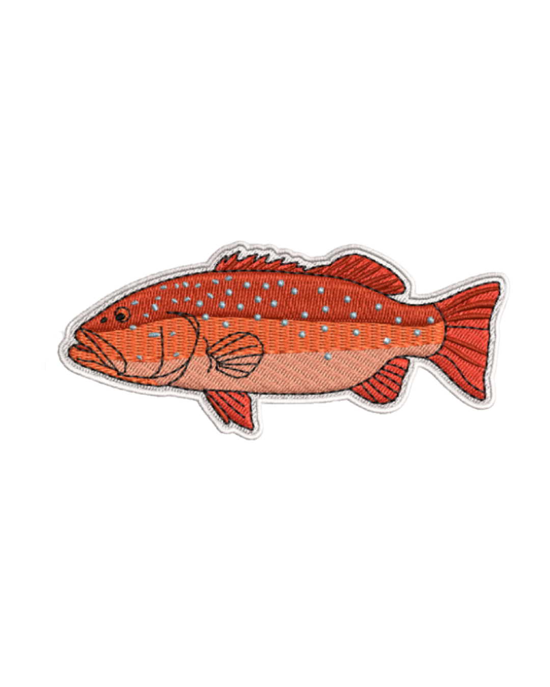 Coral Trout Patch
