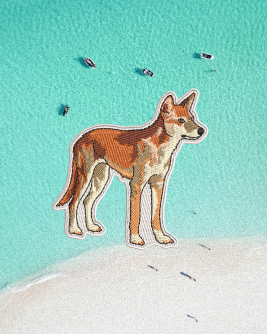 Dingo patch