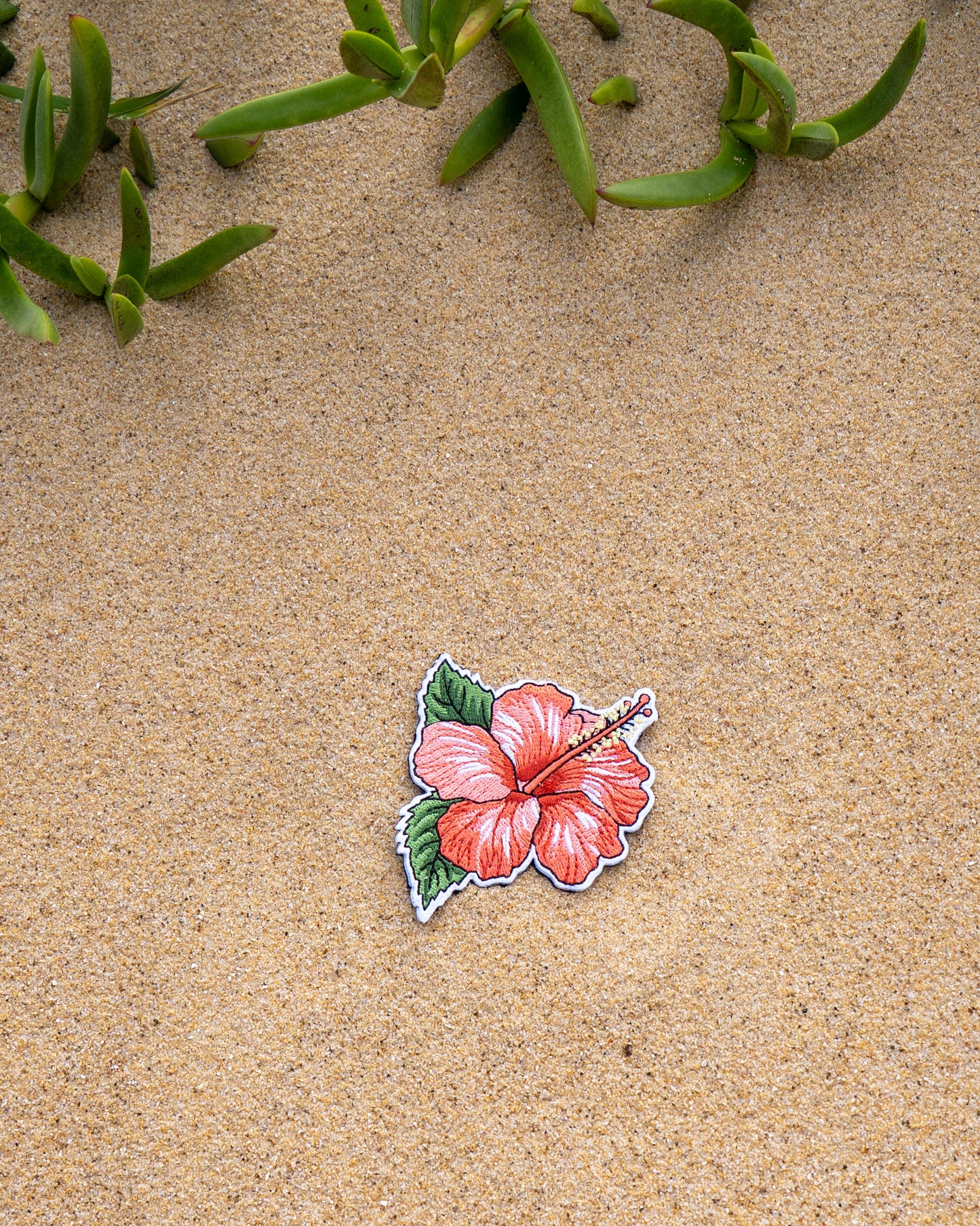 Hibiscus Flower Patch