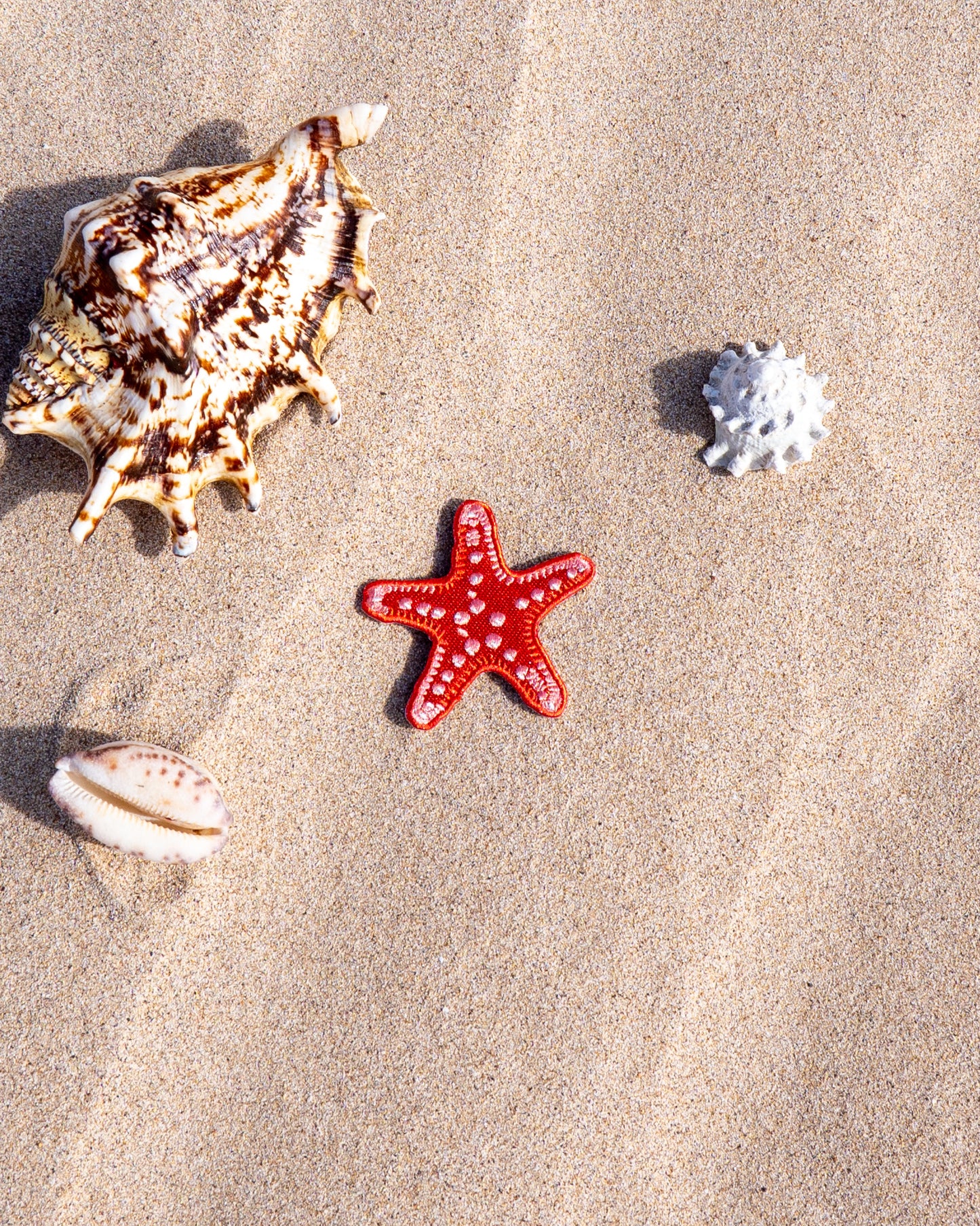 Starfish Patch