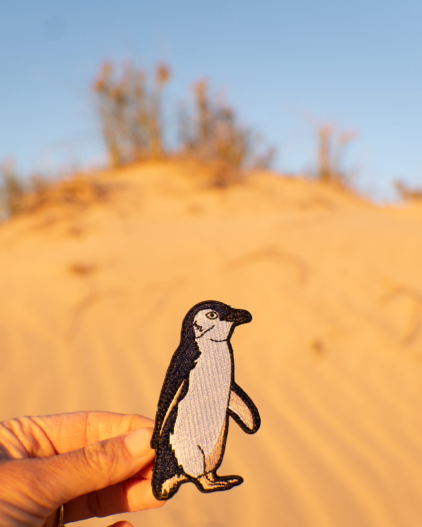 Penguin Patch