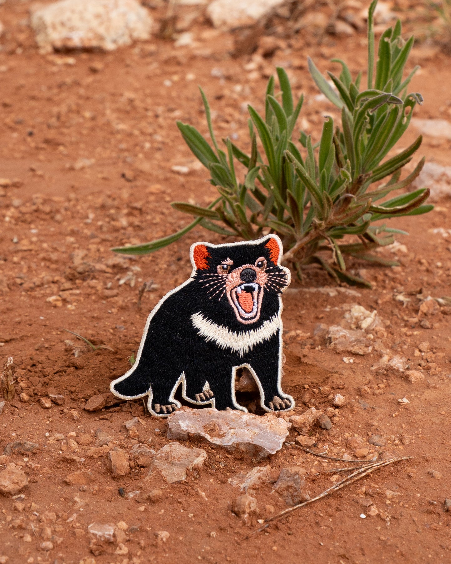 Tassie Devil Patch