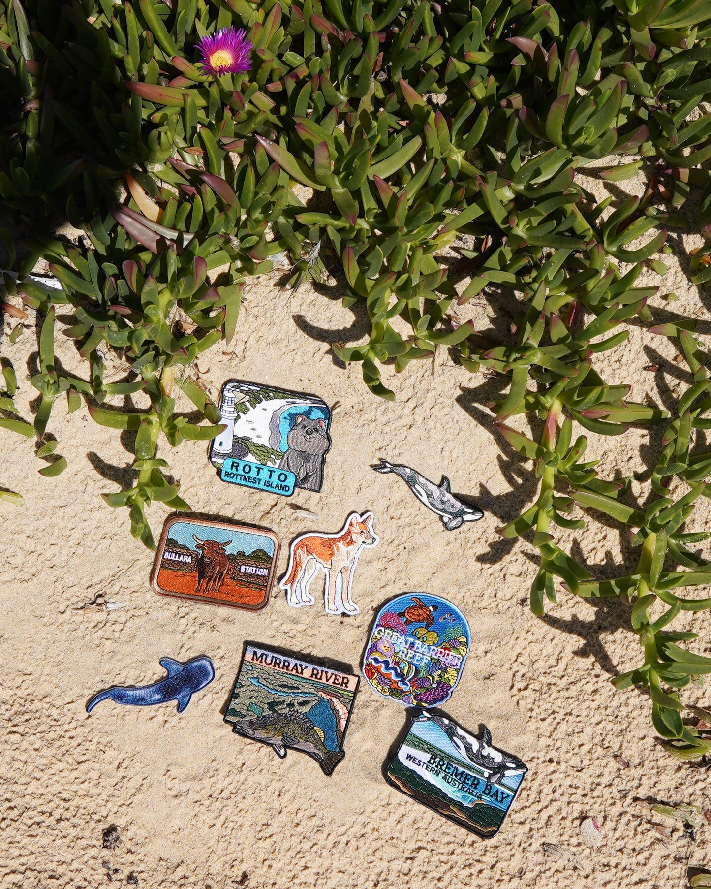 LIMITED EDITION: Orca patch