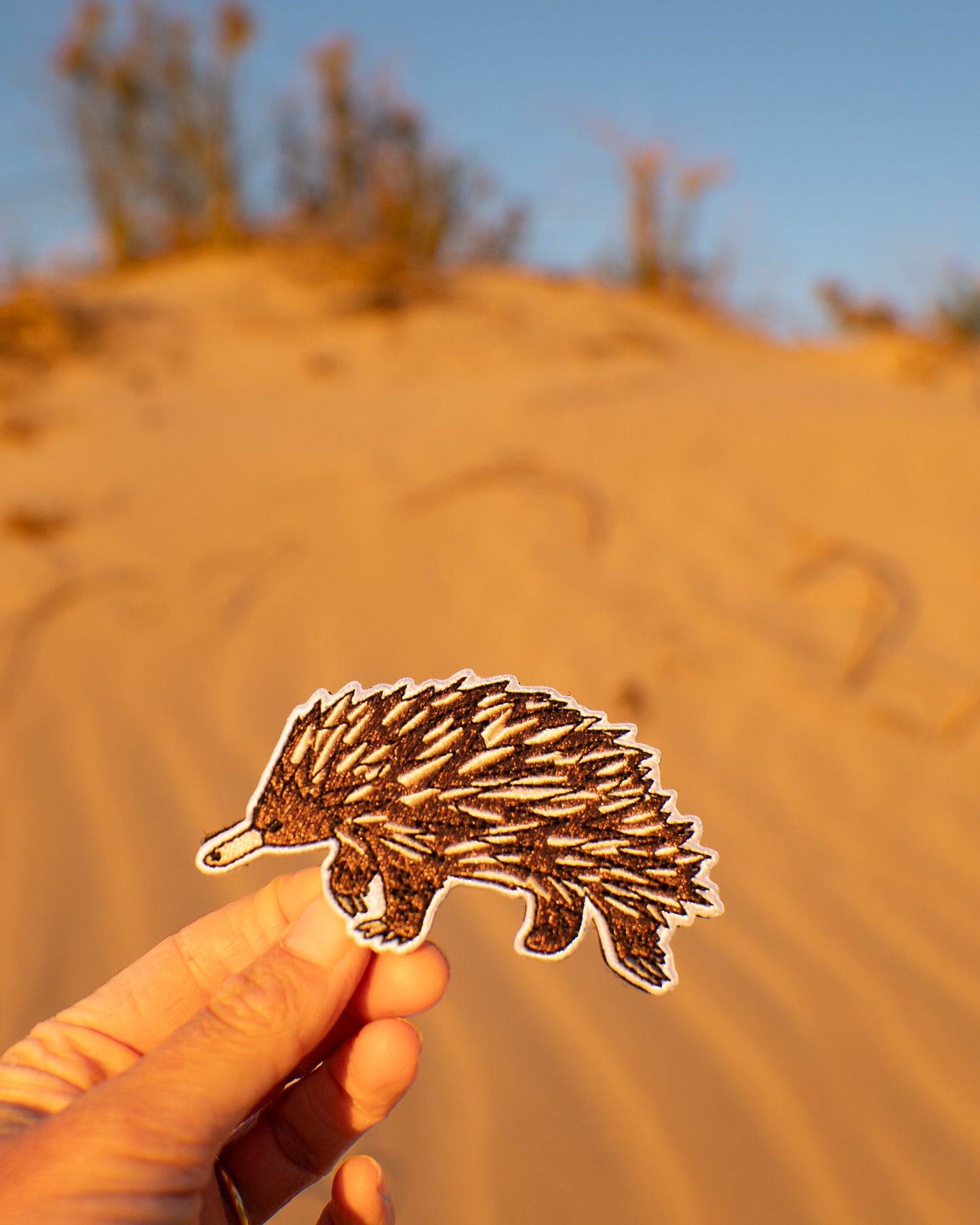 Echidna Patch