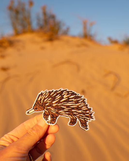 Echidna Patch