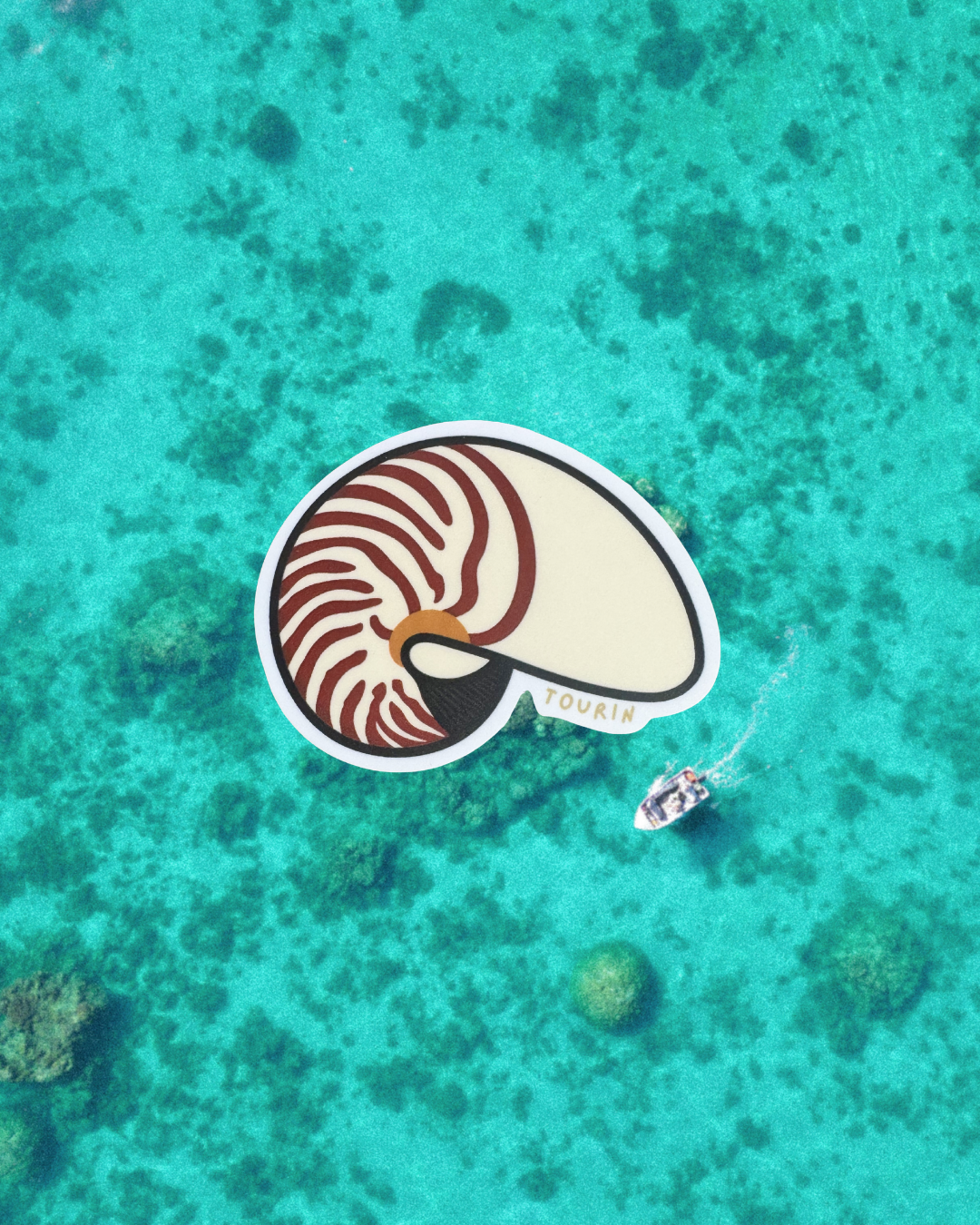 Nautilus Shell Sticker