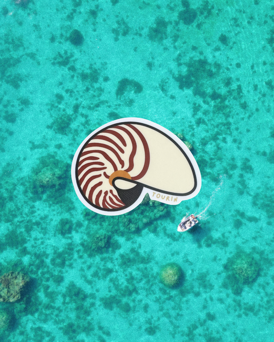 Nautilus Shell Sticker