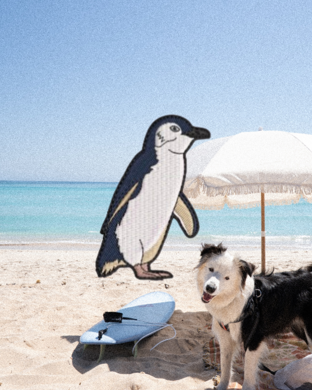 Penguin Patch
