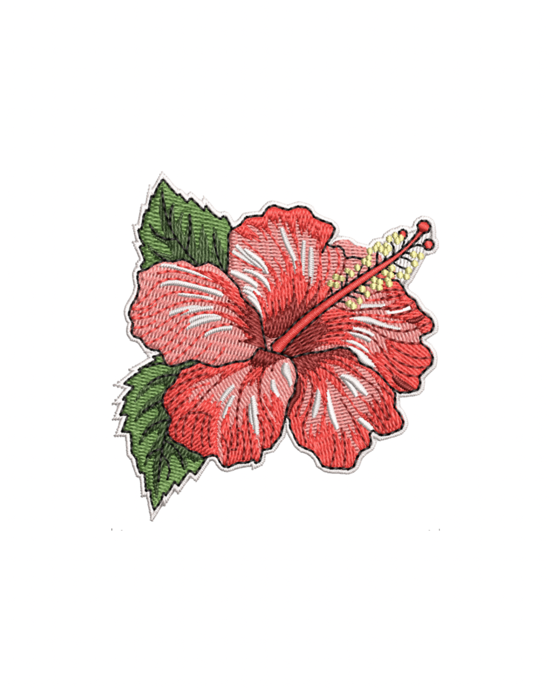 Hibiscus Flower Patch