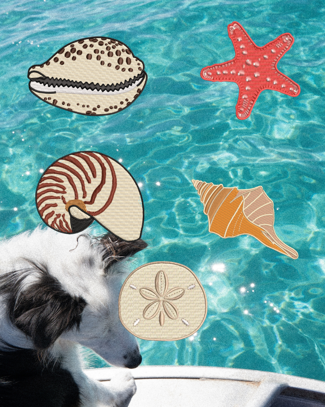 Shell Patch Bundle